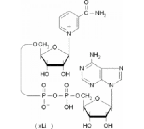 βНикотинамид-аденин-динуклеотид литиевая соль из Saccharomyces cerevisiae 95% Sigma N7132