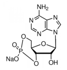 Моногидрат натриевой соли аденозин-3 ', 5'-циклического монофосфата 98,0% (ВЭЖХ), порошок Sigma A6885