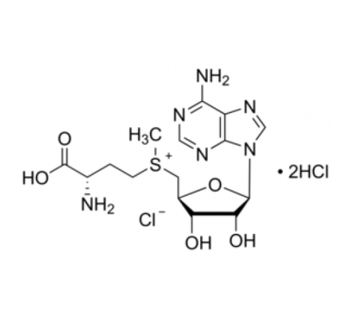 Дигидрохлорид S- (5'-аденозилβL-метионинхлорида 75% Sigma A7007