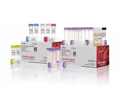 Набор Zero Blunt PCR Cloning Kit, Thermo FS